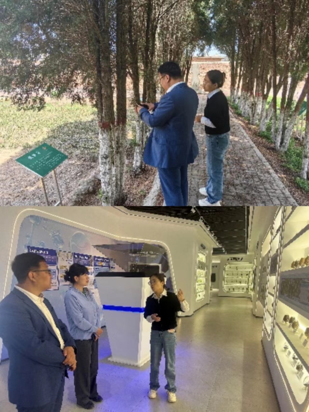 2026美加墨世界杯官网