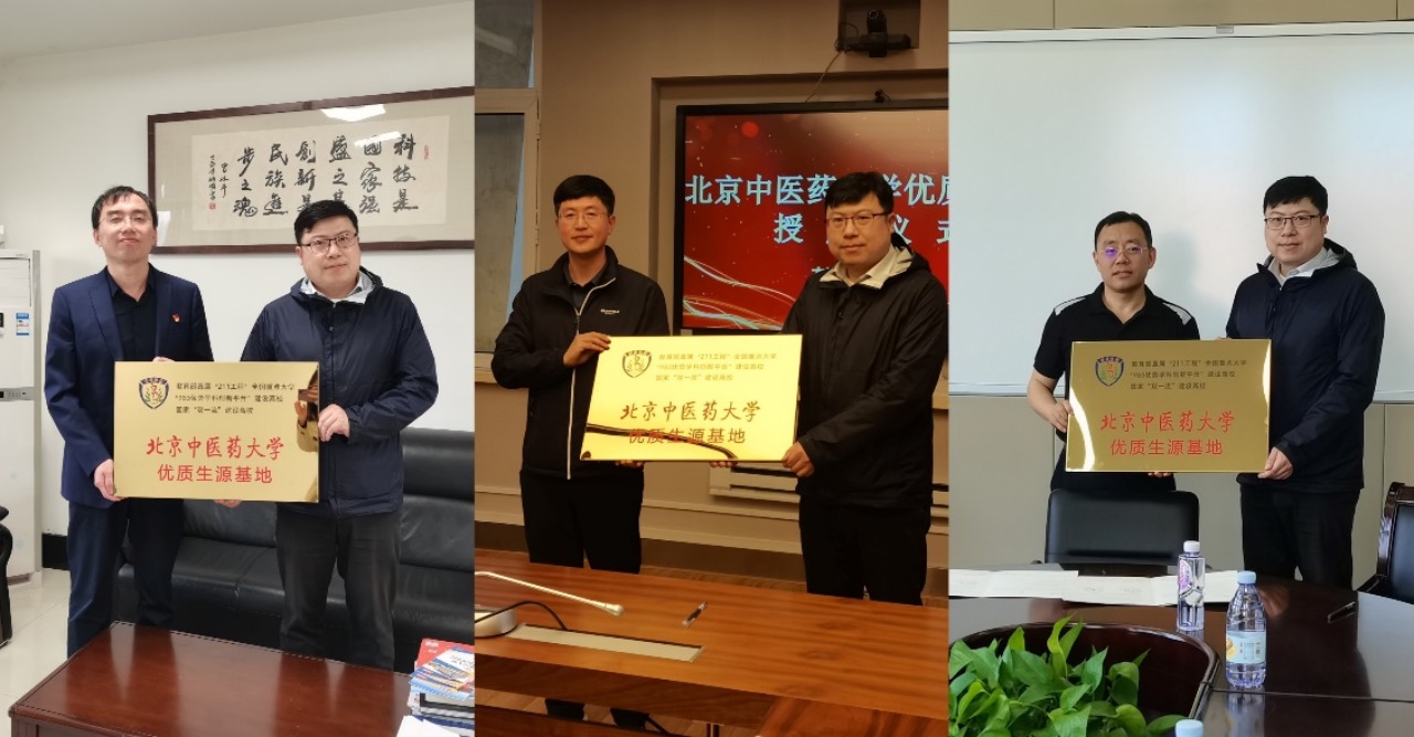 2026美加墨世界杯官网