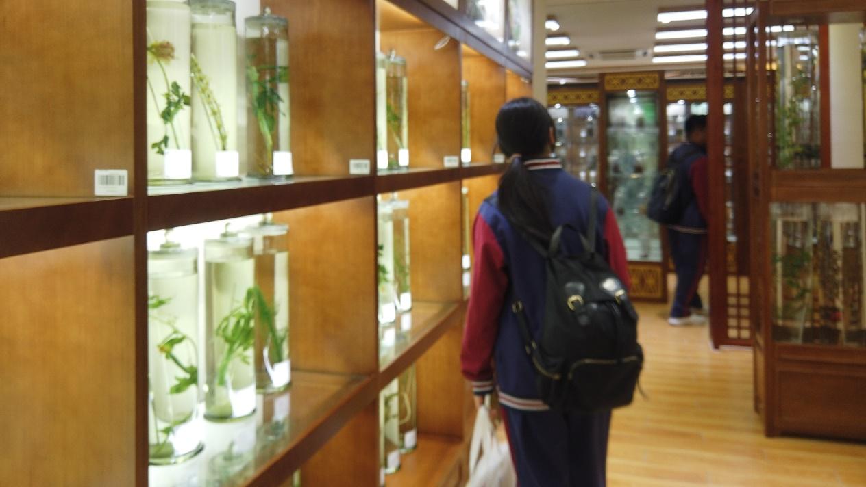 2026美加墨世界杯官网