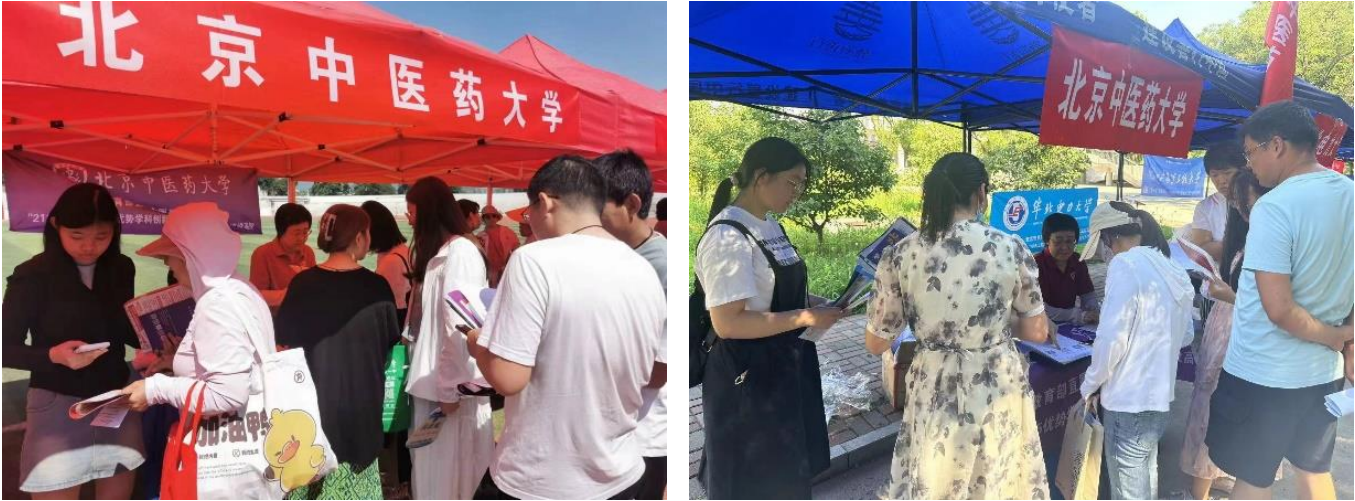 2026美加墨世界杯官网