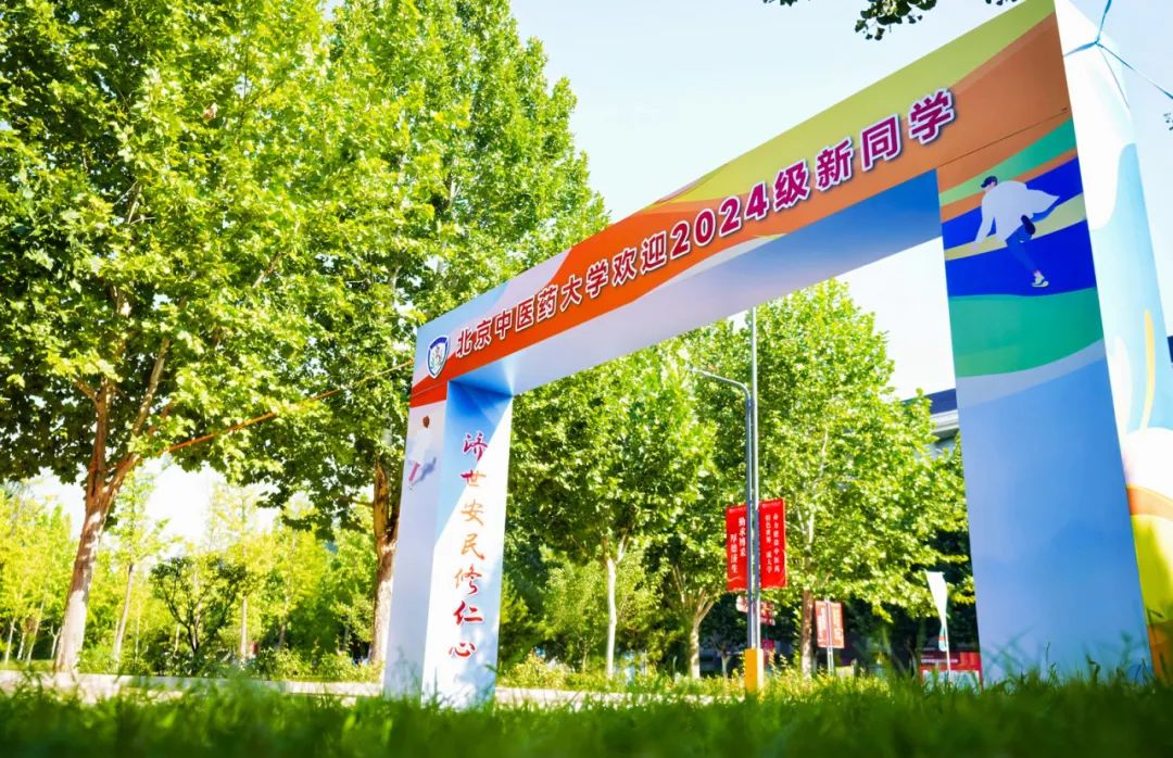 2026美加墨世界杯官网