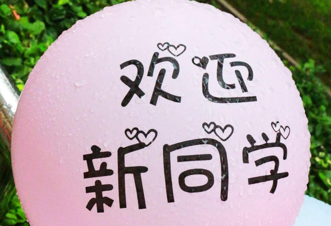 2026美加墨世界杯官网