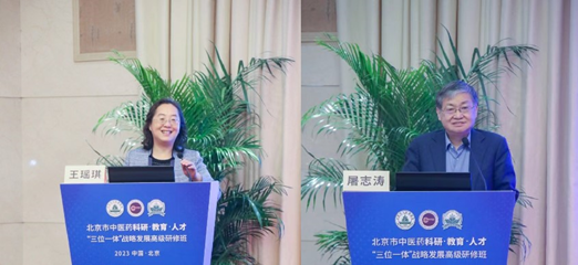 2026美加墨世界杯官网