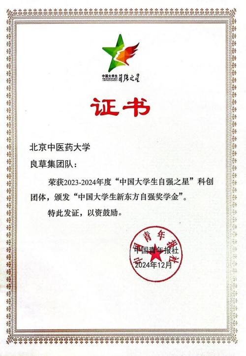 2026美加墨世界杯官网