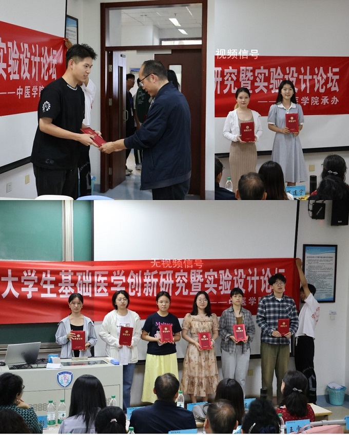 2026美加墨世界杯官网