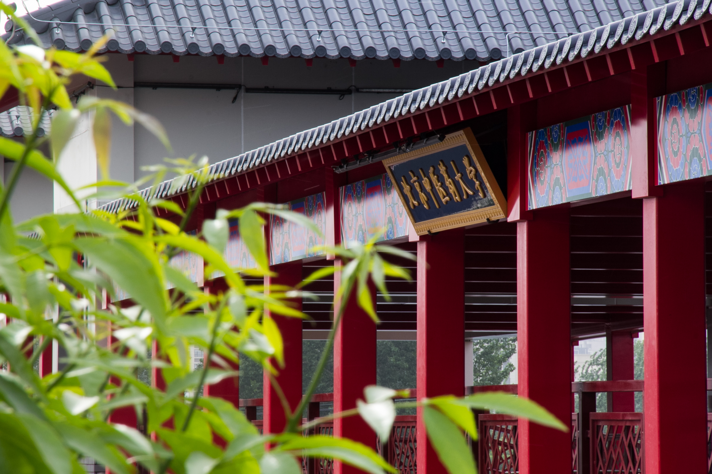 2026美加墨世界杯官网