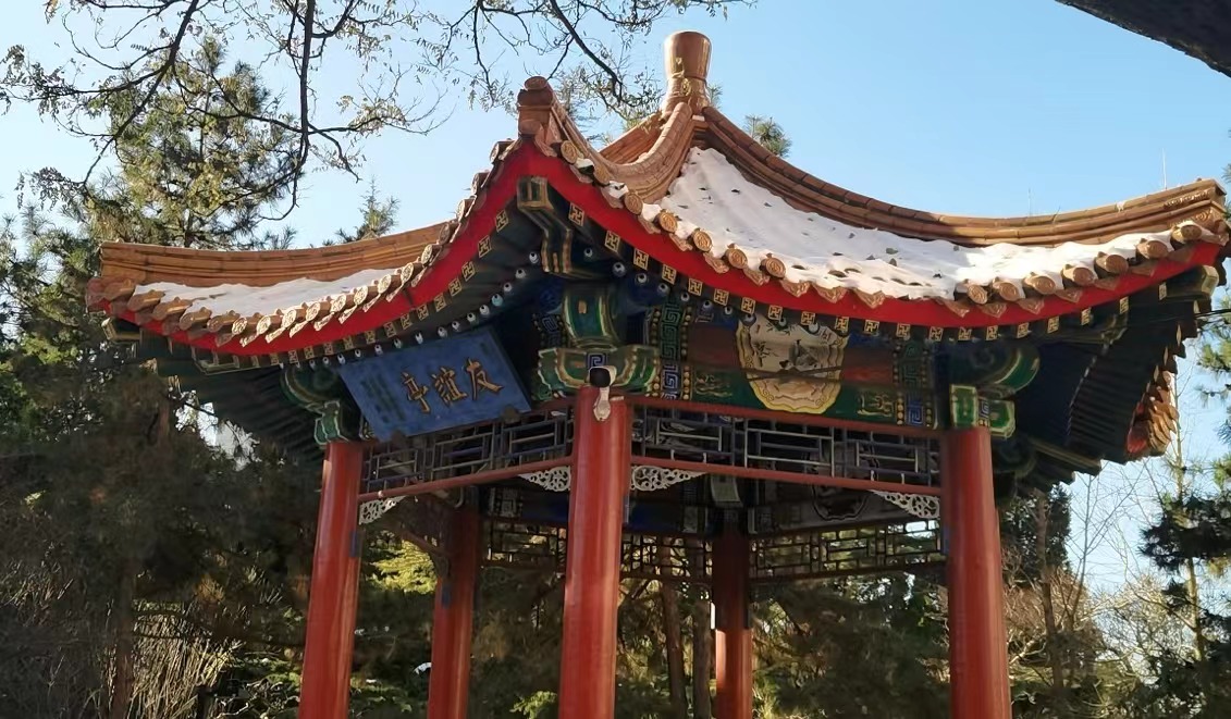 2026美加墨世界杯官网