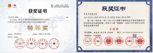 2026美加墨世界杯官网