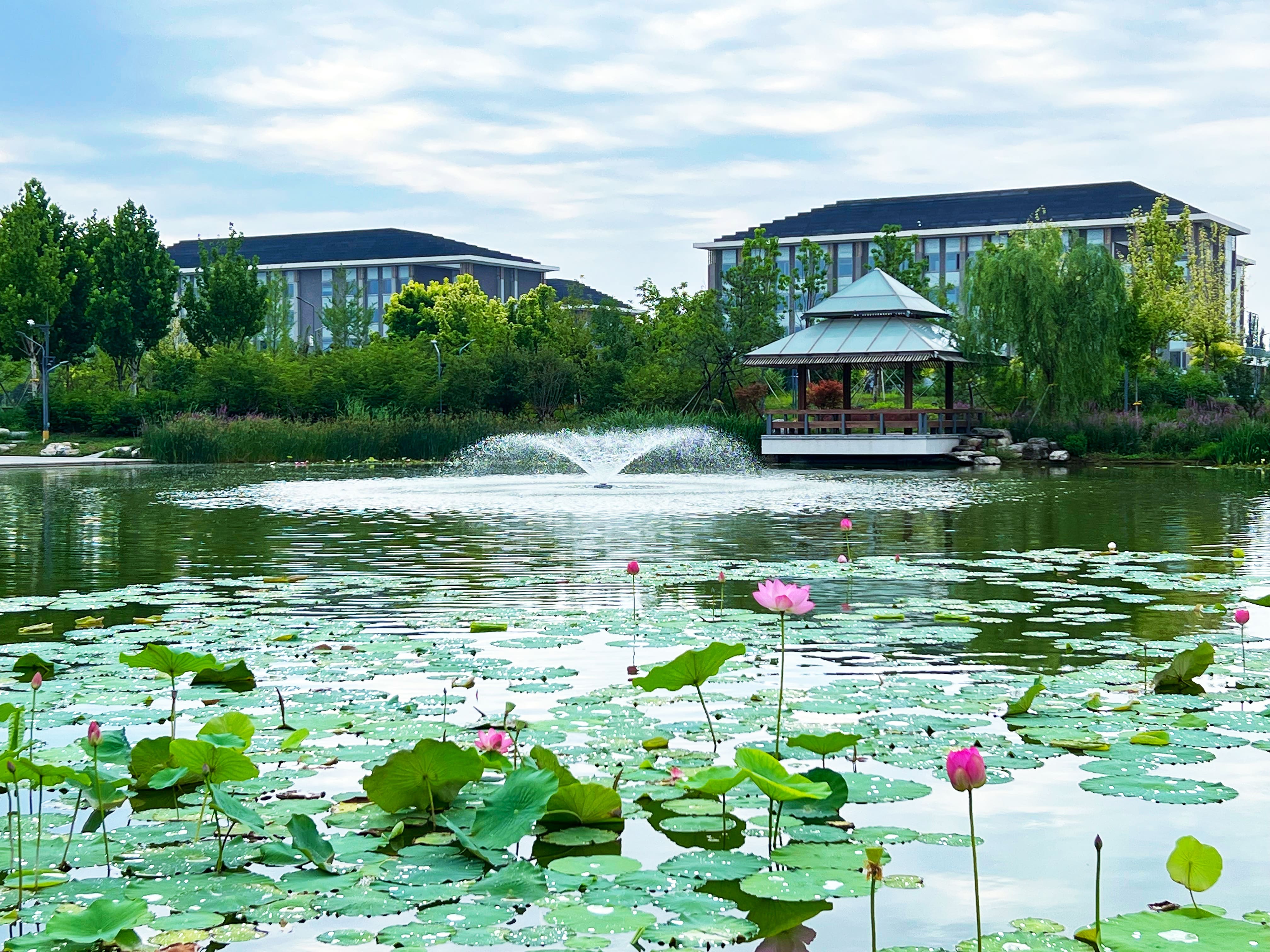 2026美加墨世界杯官网