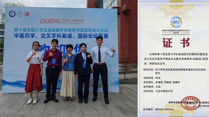 2026美加墨世界杯官网