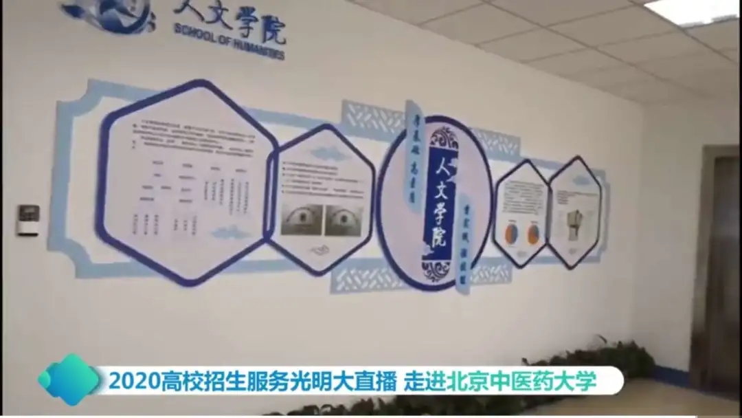 2026美加墨世界杯官网