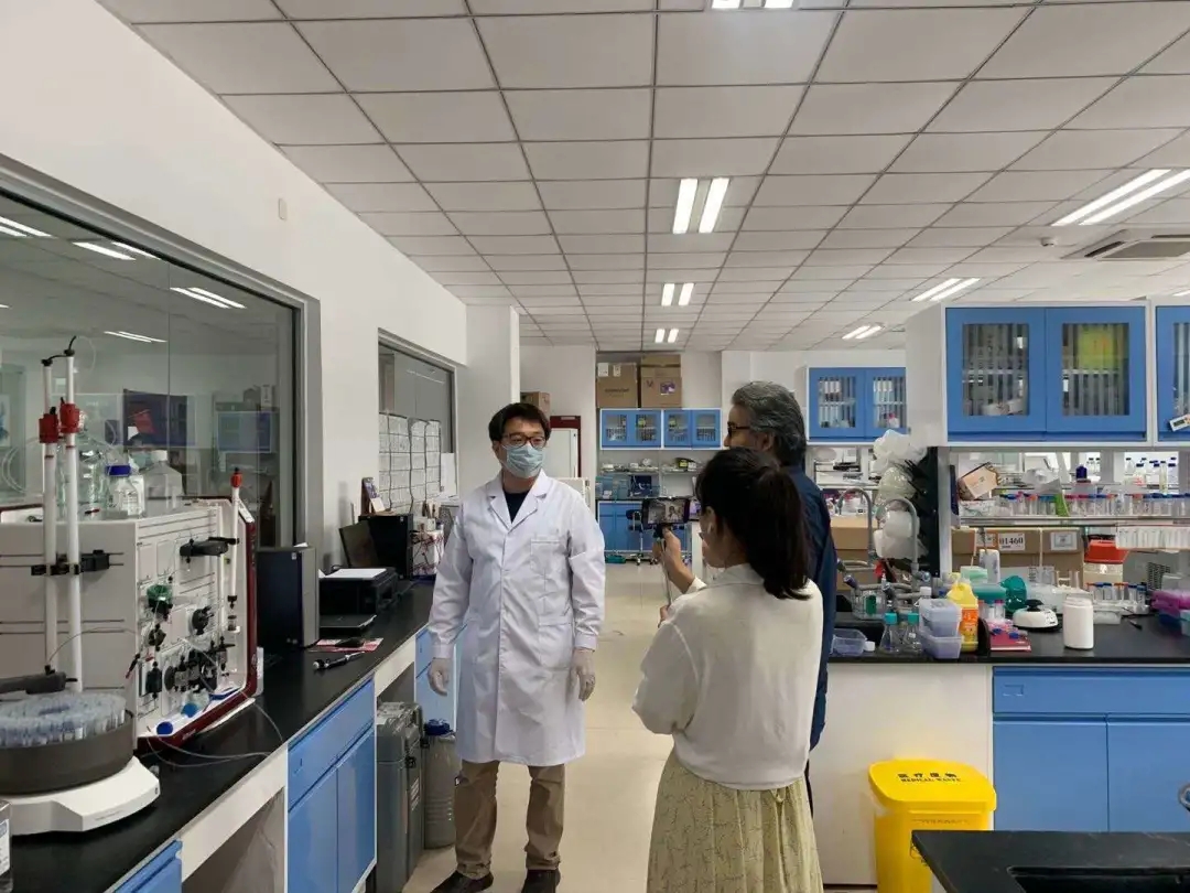 2026美加墨世界杯官网