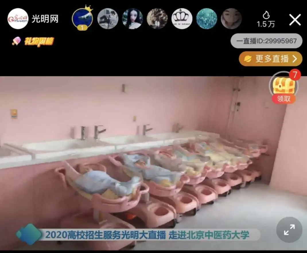 2026美加墨世界杯官网