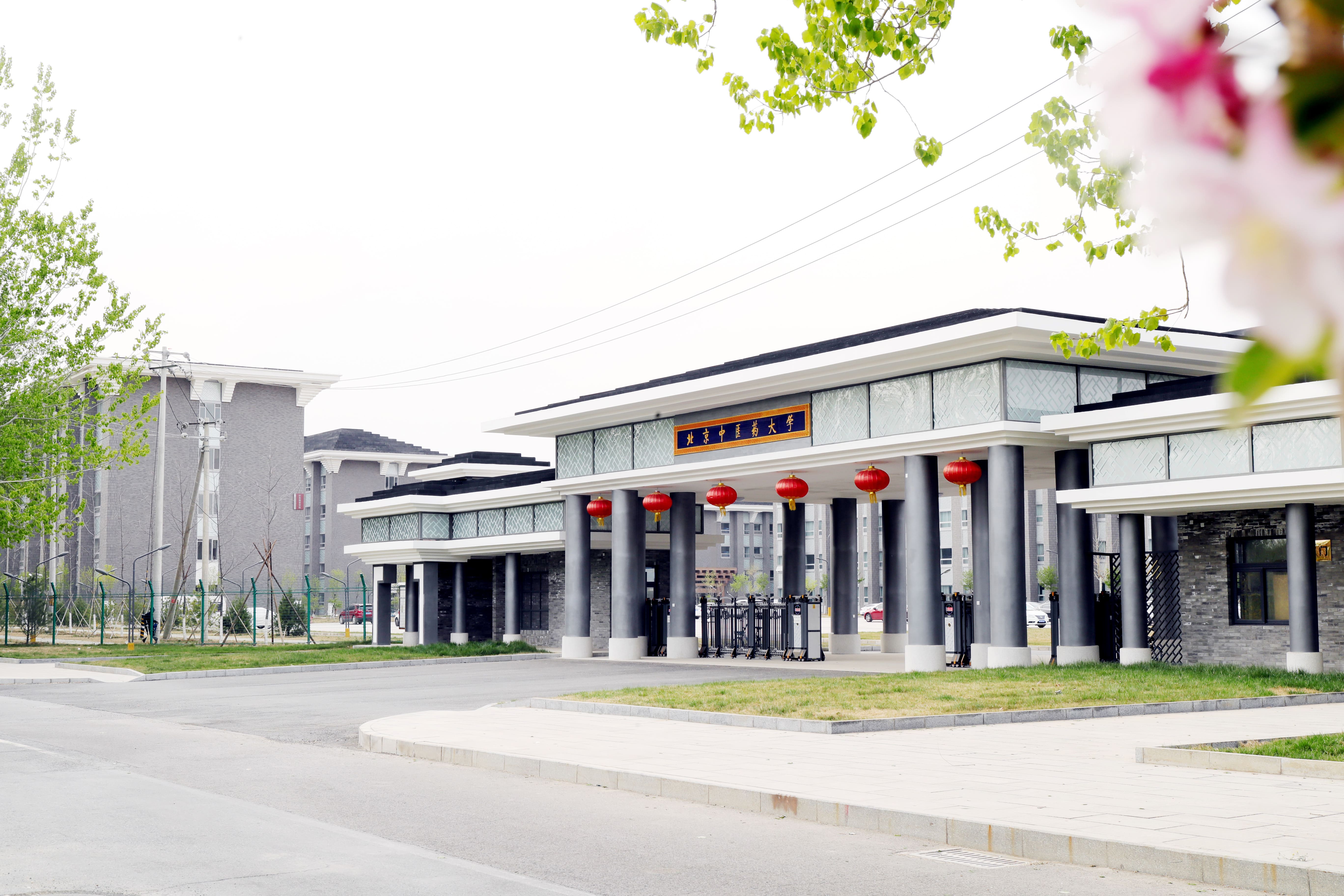 2026美加墨世界杯官网