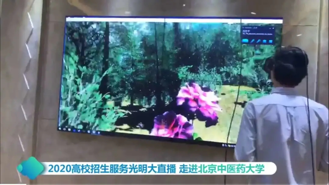 2026美加墨世界杯官网