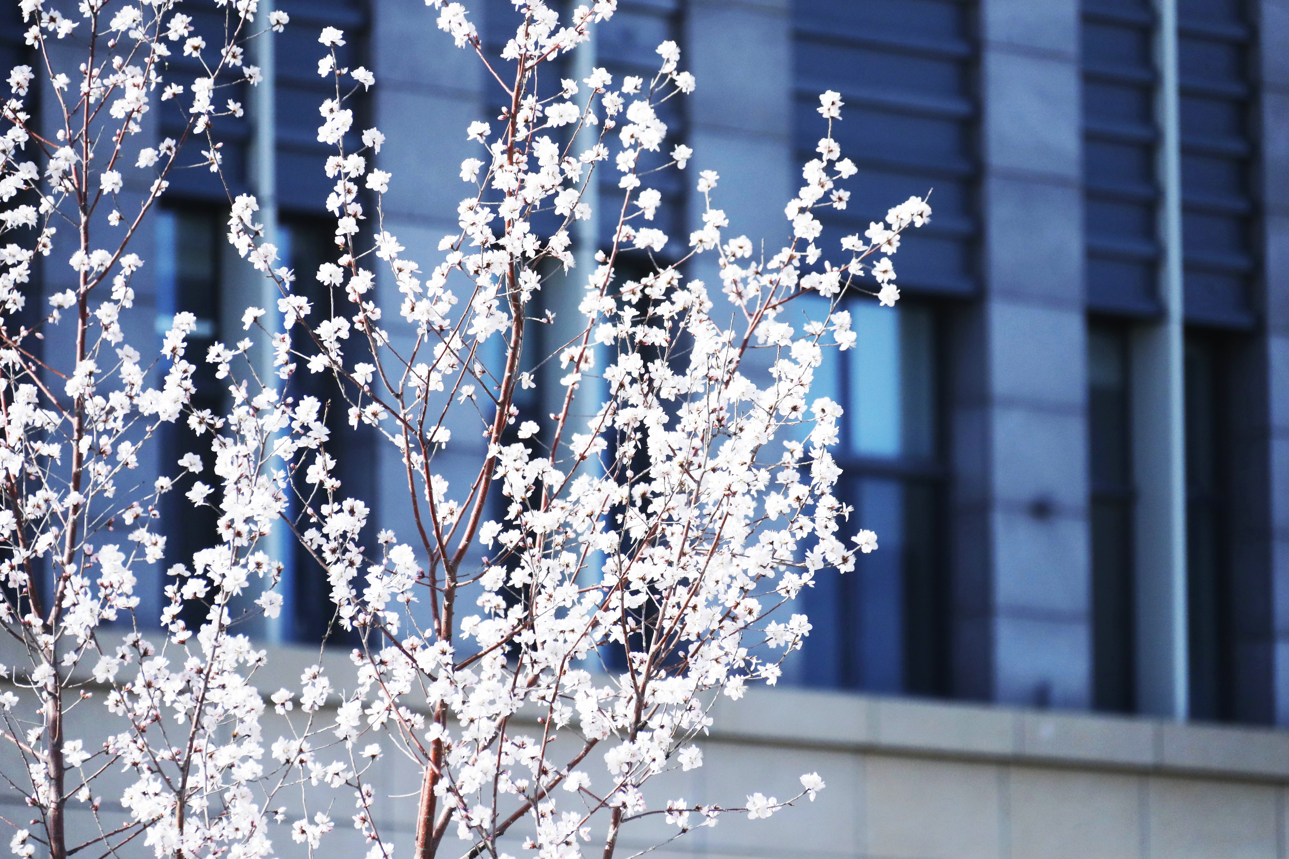 2026美加墨世界杯官网