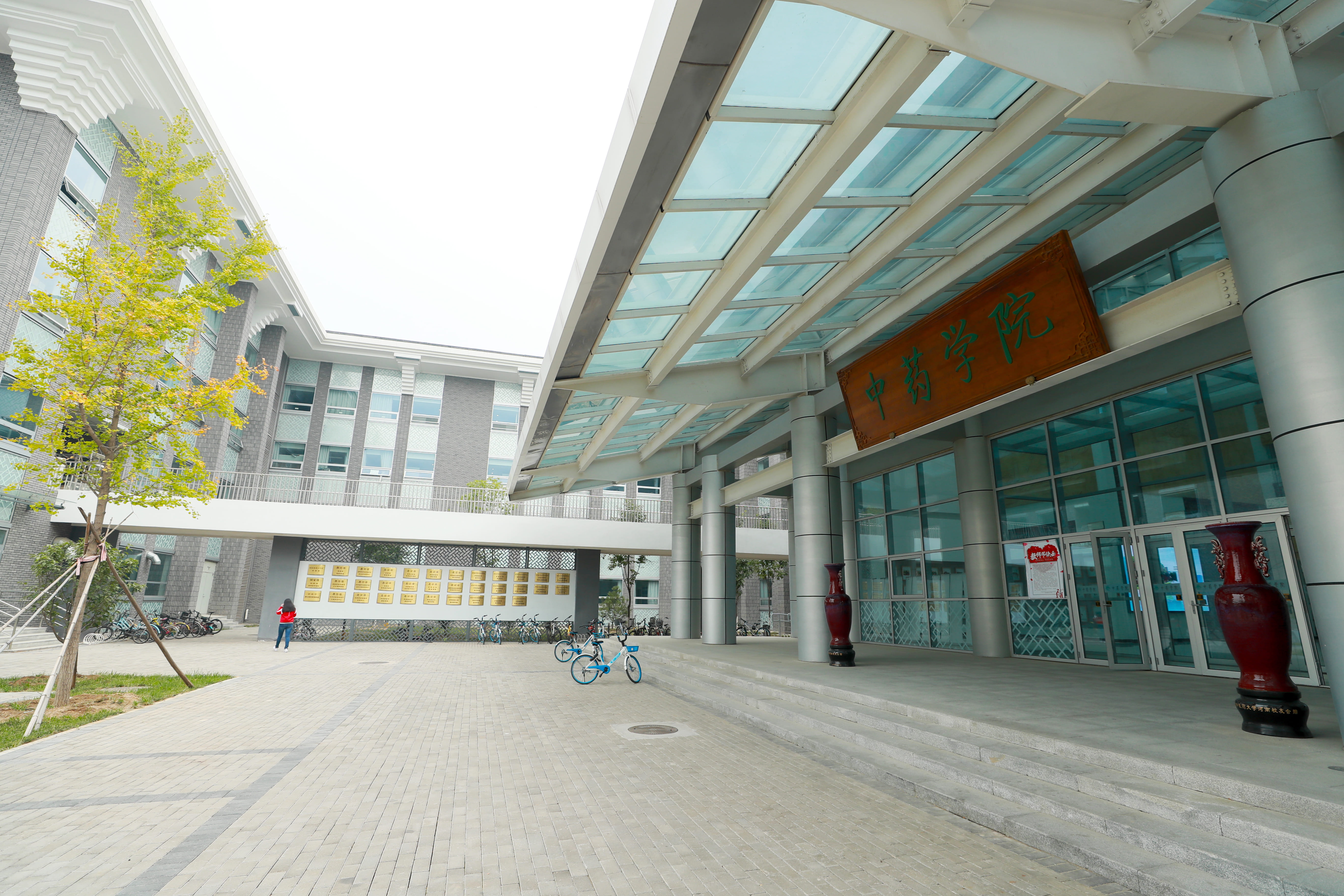 2026美加墨世界杯官网