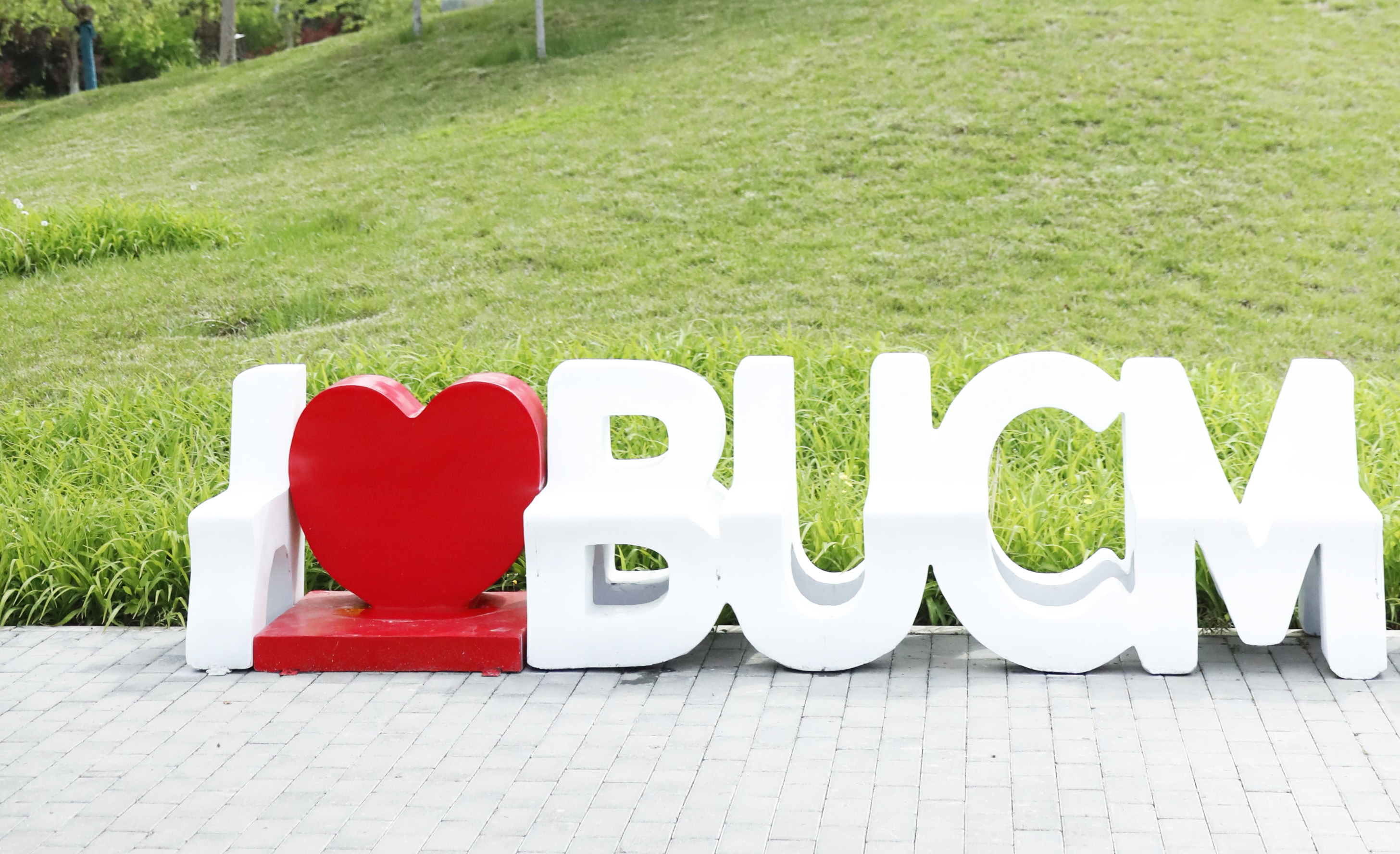 2026美加墨世界杯官网