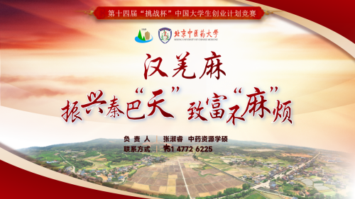 2026美加墨世界杯官网