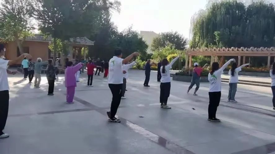 2026美加墨世界杯官网