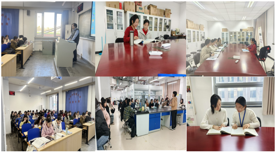 2026美加墨世界杯官网